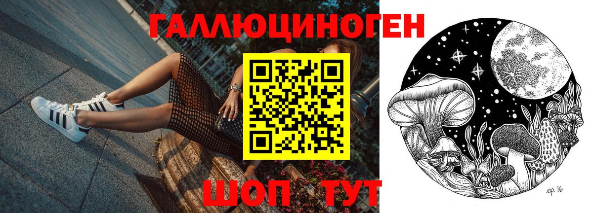 Галлюциногенные грибы Cubensis Тамбов